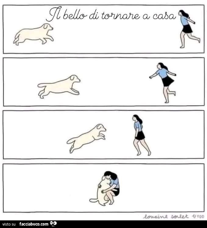 Il bello di tornare a casa