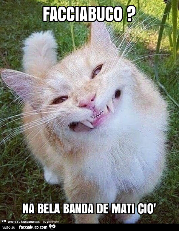 Facciabuco? Na bela banda de mati ciò