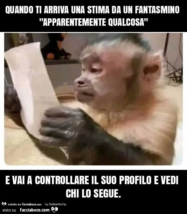 Quando ti arriva una stima da un fantasmino "apparentemente qualcosa" e vai a controllare il suo profilo e vedi chi lo segue