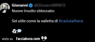 Nuovo insulto sbloccato: sei utile come la valletta di cadutalibera