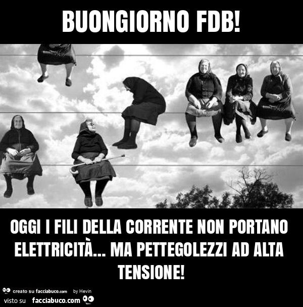 Buongiorno fdb! Oggi i fili della corrente non portano elettricità… ma pettegolezzi ad alta tensione
