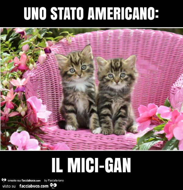 Uno stato americano: il mici-gan