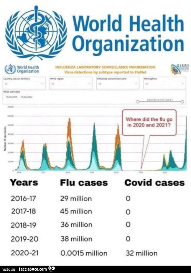 World health organization 2020 2021