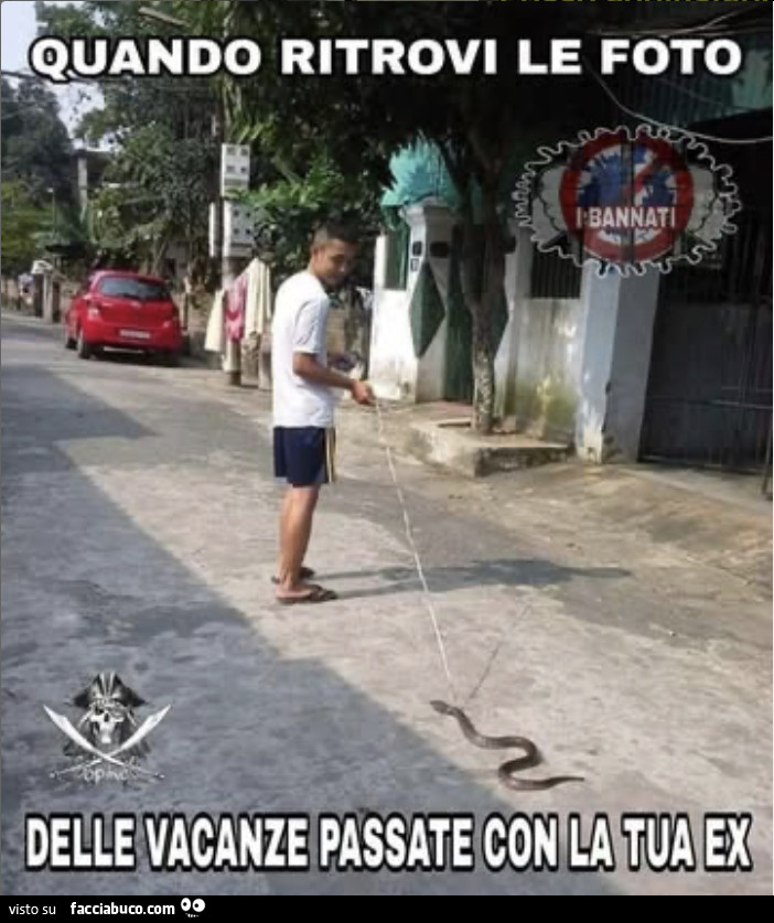 Vaccata