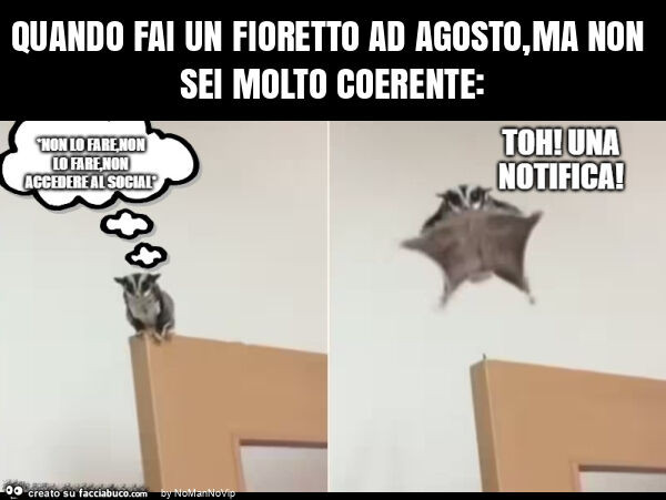 Quando fai un fioretto ad agosto, ma non sei molto coerente