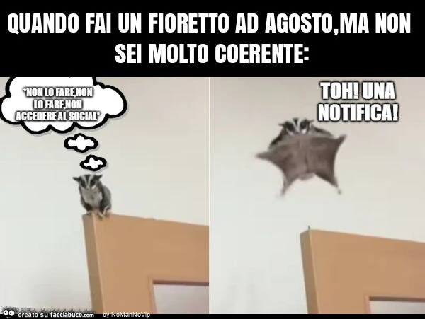 Quando fai un fioretto ad agosto, ma non sei molto coerente