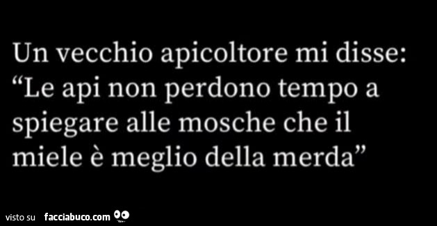 Un vecchio apicoltore mi disse: le api non perdono tempo a spiegare alle mosche che il miele è meglio della merda