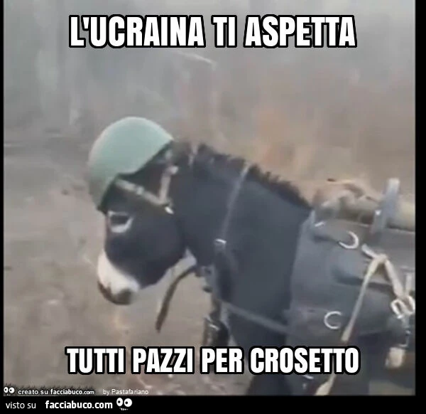 L'ucraina ti aspetta tutti pazzi per crosetto