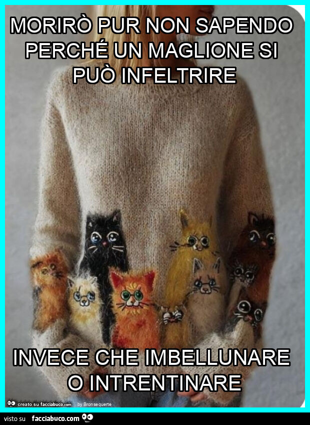Morirò pur non sapendo perché un maglione si può infeltrire invece che imbellunare o intrentinare