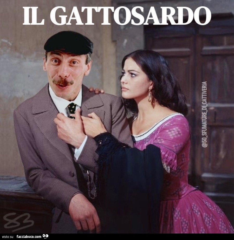 Il Gattosardo