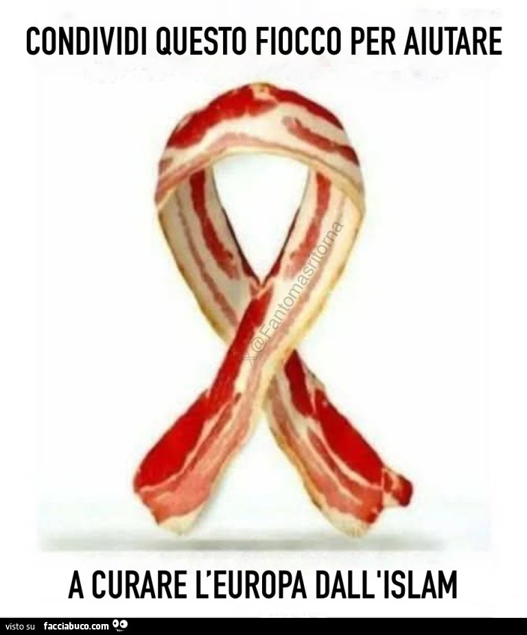 Condividi questo fiocco per aiutare a curare l'europa dall'islam