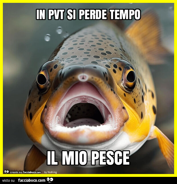In pvt si perde tempo il mio pesce