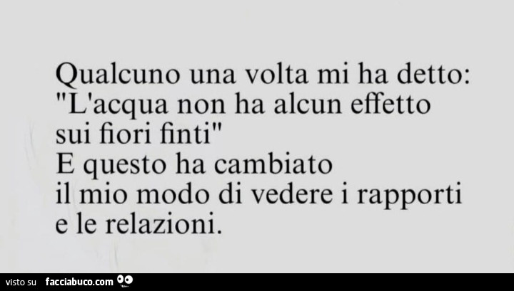 Qualcuno una volta mi ha detto: l'acqua non ha alcun effetto sui fiori finti e questo ha cambiato il mio modo di vedere i rapporti e le relazioni