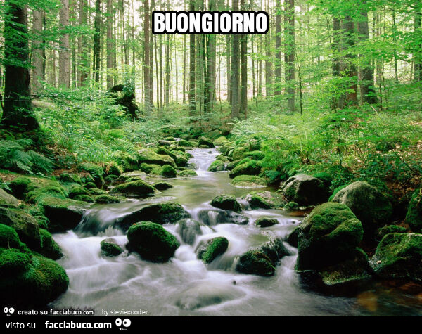 Buongiorno