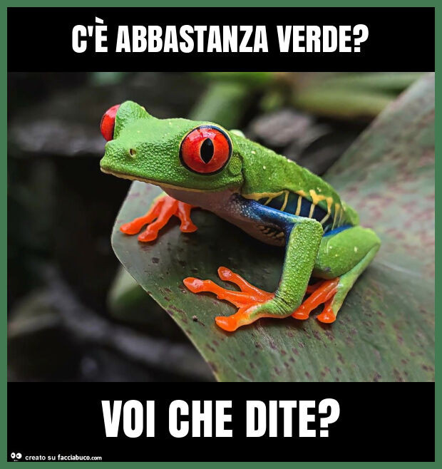 C'è abbastanza verde? Voi che dite?