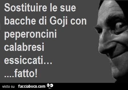 Bacche