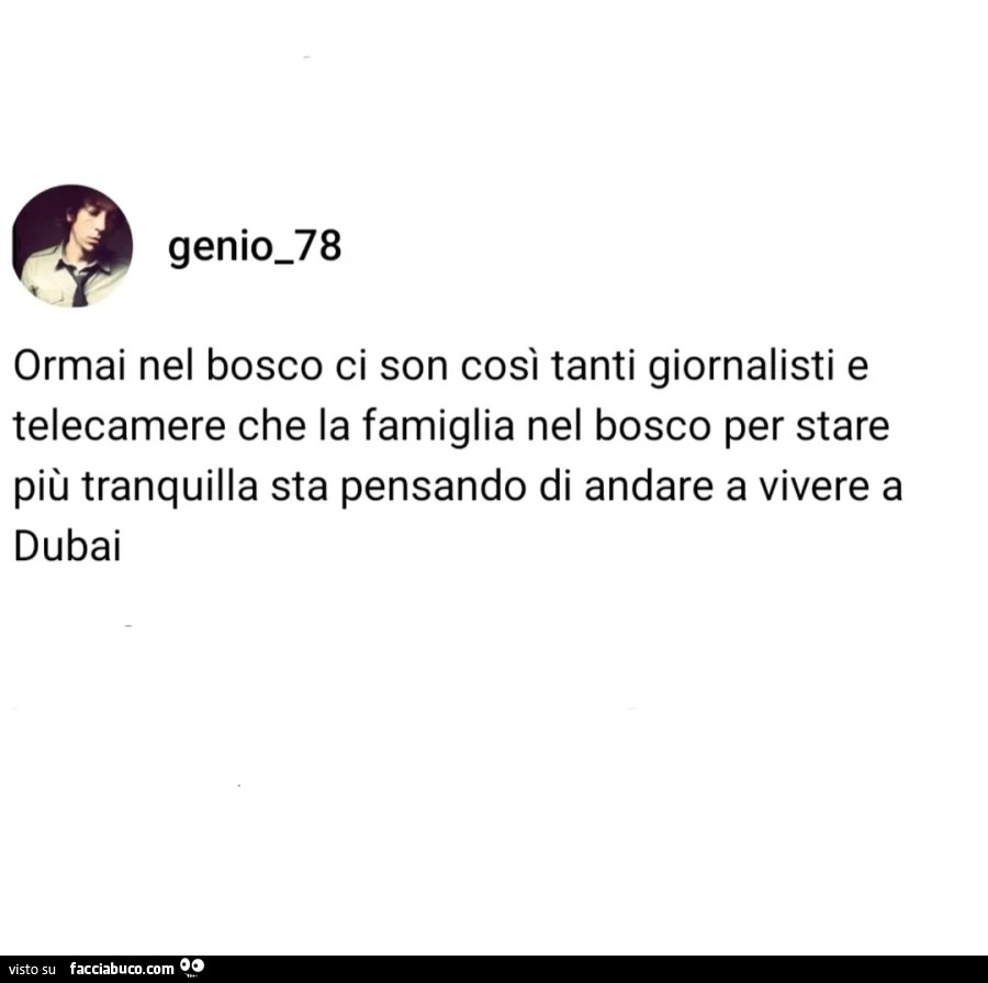 Ormai nel bosco ci son così tanti giornalisti e telecamere che la famiglia nel bosco per stare più tranquilla sta pensando di andare a vivere a dubai