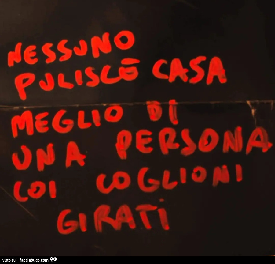 Nessuno pulisce casa meglio di una persona coi coglioni girati