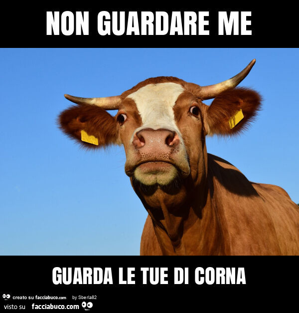 Non guardare me guarda le tue di corna