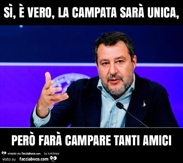 Sì, è vero, la campata sarà unica, però farà campare tanti amici