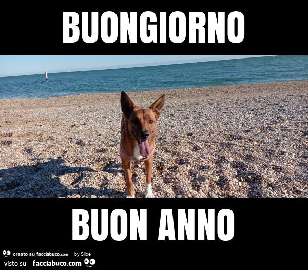 Buongiorno buon anno