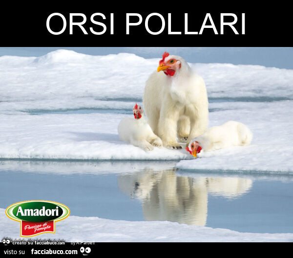 Orsi pollari