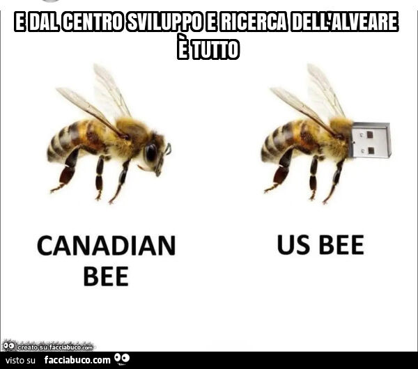 E dal centro sviluppo e ricerca dell'alveare è tutto. Canadian bee us bee