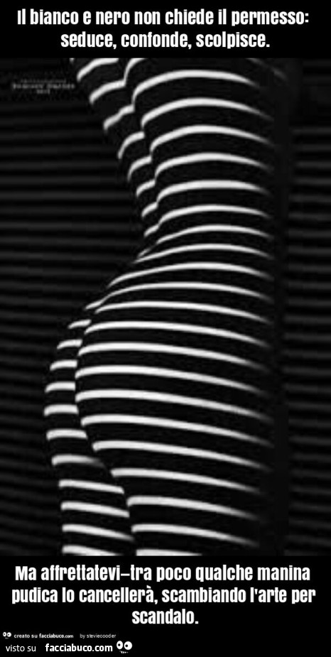 Il bianco e nero non chiede il permesso: seduce, confonde, scolpisce. Ma affrettatevi—tra poco qualche manina pudica lo cancellerà, scambiando l'arte per scandalo