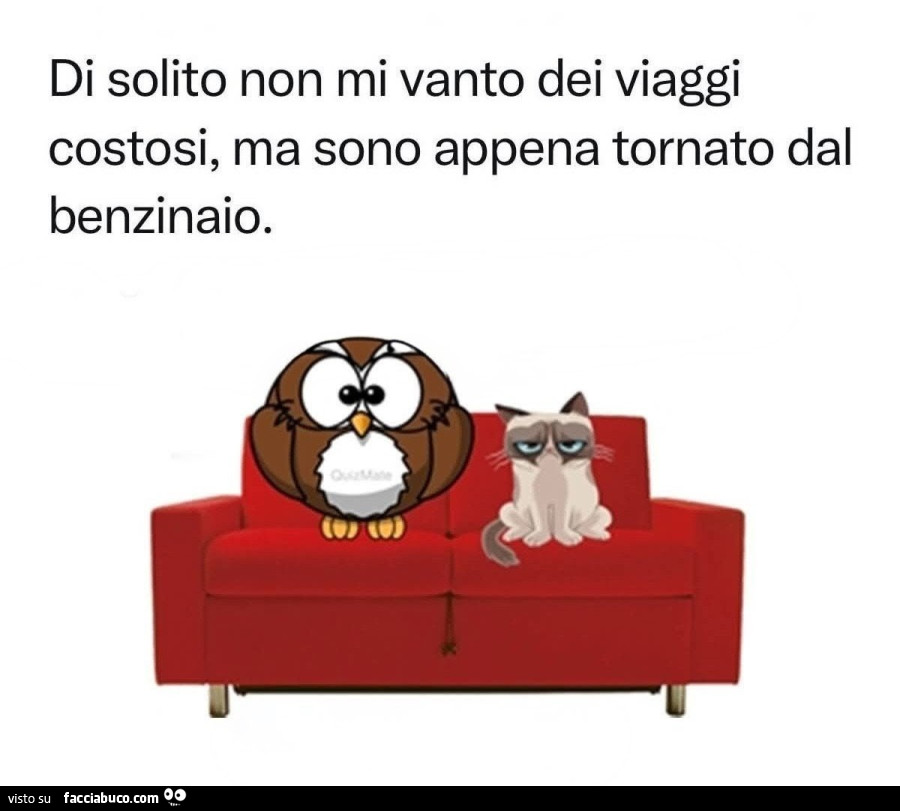 Di solito non mi vanto dei viaggi costosi, ma sono appena tornato dal benzinaio
