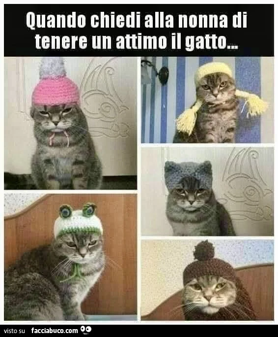 Vaccata