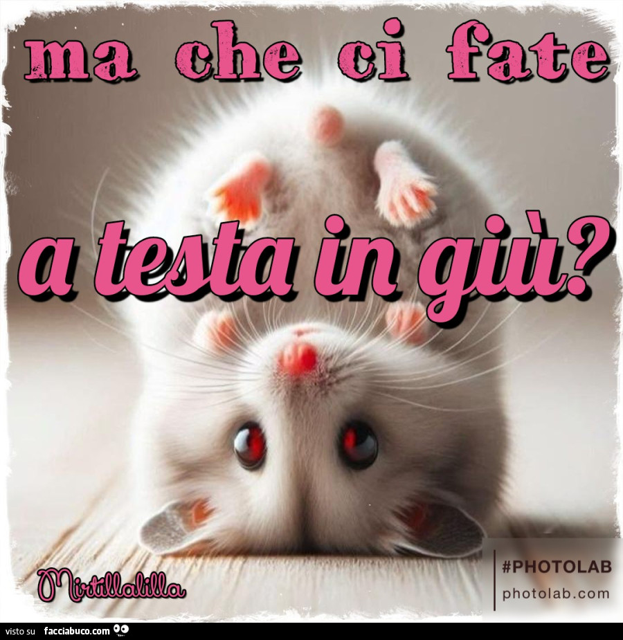 Testa in giù