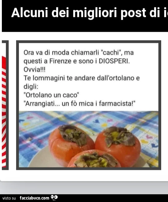 Vaccata