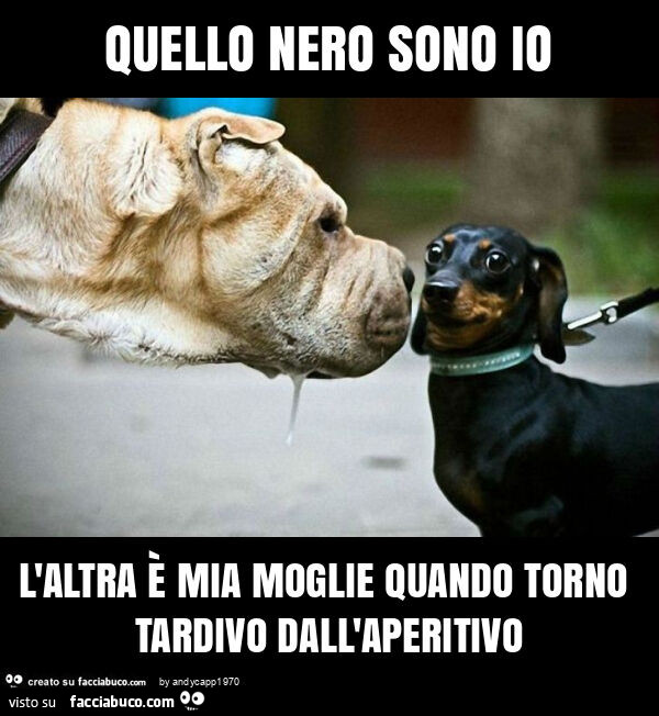 Quello nero sono io l'altra è mia moglie quando torno tardivo dall'aperitivo