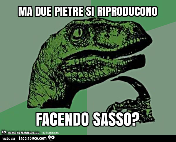 Ma due pietre si riproducono facendo sasso?