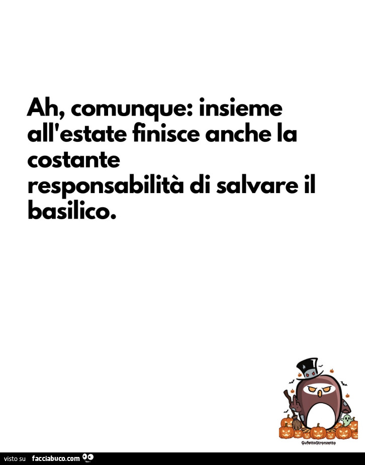 Ah, comunque: insieme all'estate finisce anche la costante responsabilità di salvare il basilico