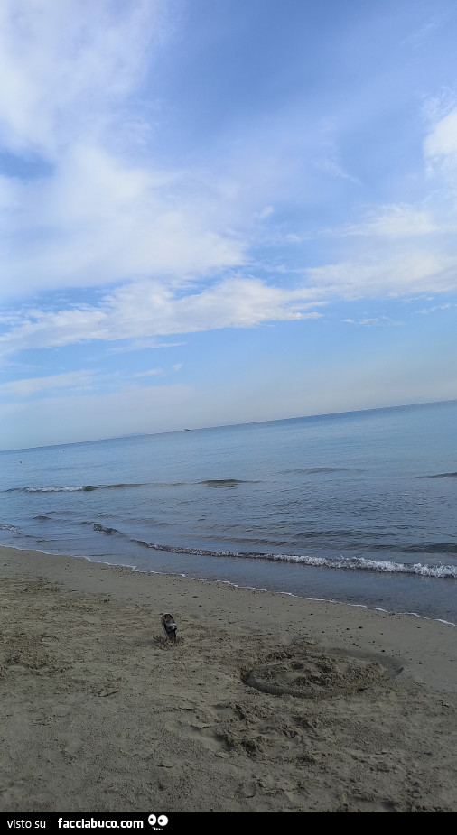 Una giornata al mare