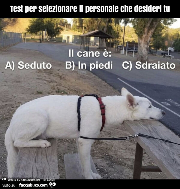 Test per selezionare il personale che desideri tu