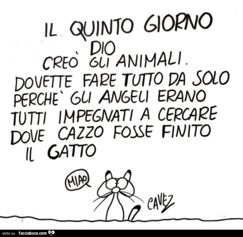 Il quitno giorno Dio creò gli animale dovette fare tutto da solo perchè gli angeli erano tutti impegnati a cercare dove cazzo fosse finito il gatto