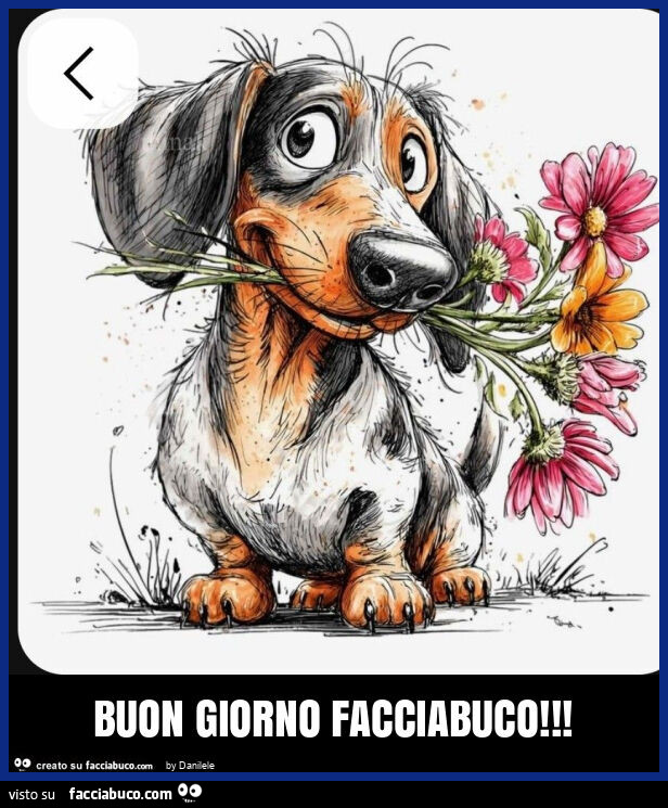 Buon giorno facciabuco
