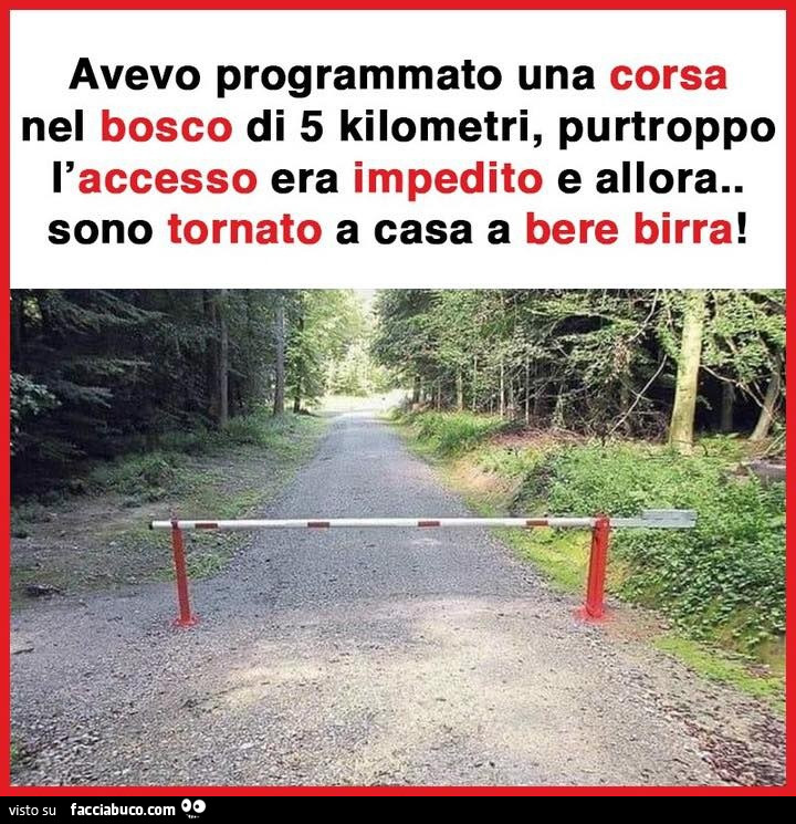 Corsa nel bosco