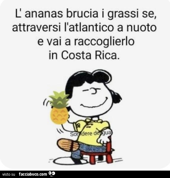 L' ananas brucia i grassi se, attraversi l'atlantico a nuoto e vai a raccoglierlo in costa rica