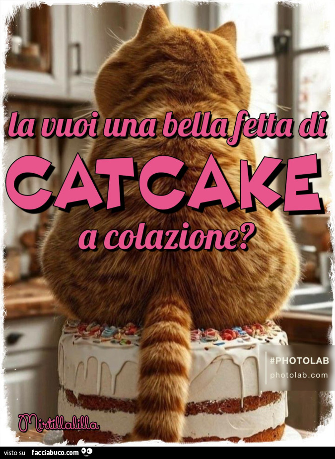 Catcake
