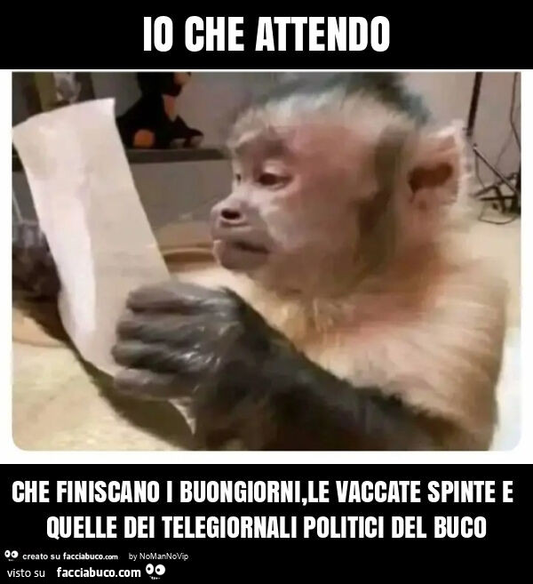 Io che attendo che finiscano i buongiorni, le vaccate spinte e quelle dei telegiornali politici del buco