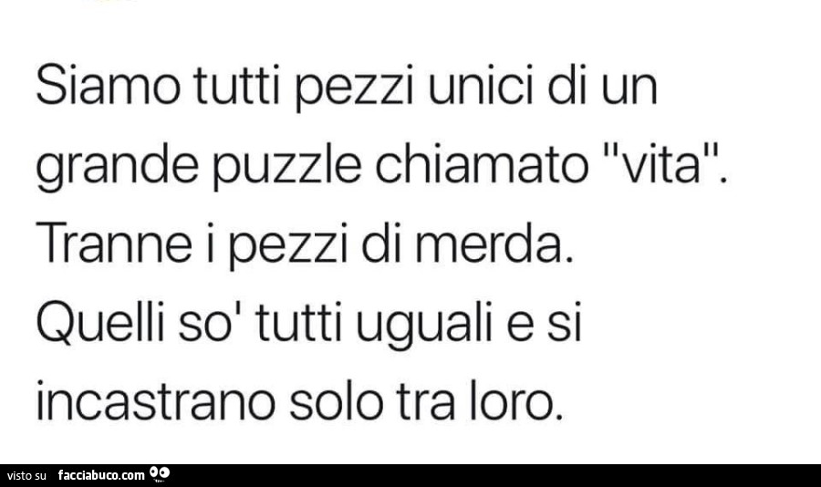 Siamo tutti pezzi unici di un grande puzzle chiamato vita. Tranne i pezzi di merda. Quelli sol tutti uguali e si incastrano solo tra loro