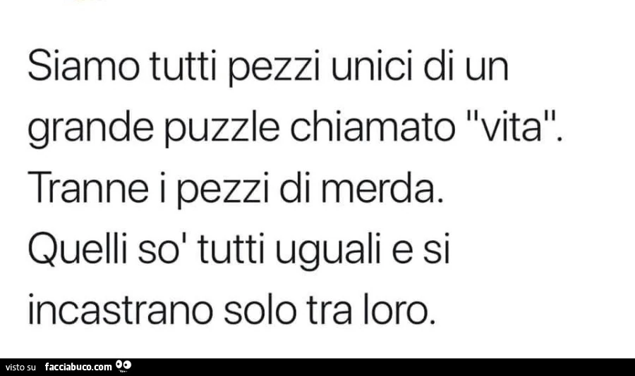 Siamo tutti pezzi unici di un grande puzzle chiamato vita. Tranne i pezzi di merda. Quelli sol tutti uguali e si incastrano solo tra loro