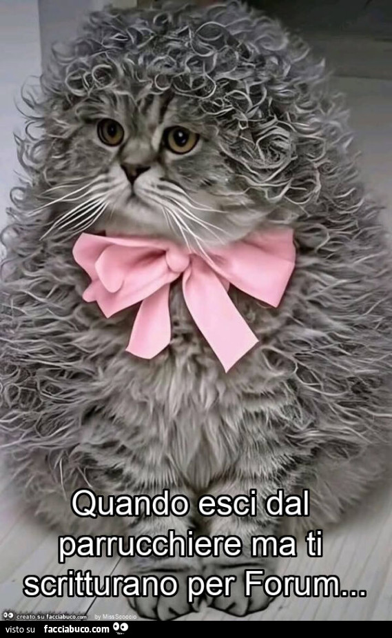 Quando esci dal parrucchiere ma ti scritturano per forum