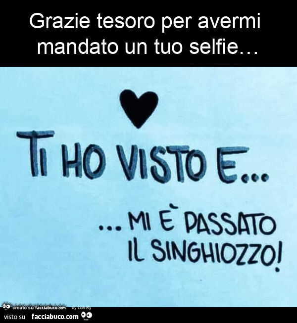 Grazie tesoro per avermi mandato un tuo selfie…