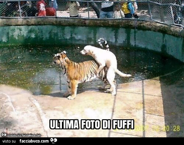 Ultima foto di fuffi