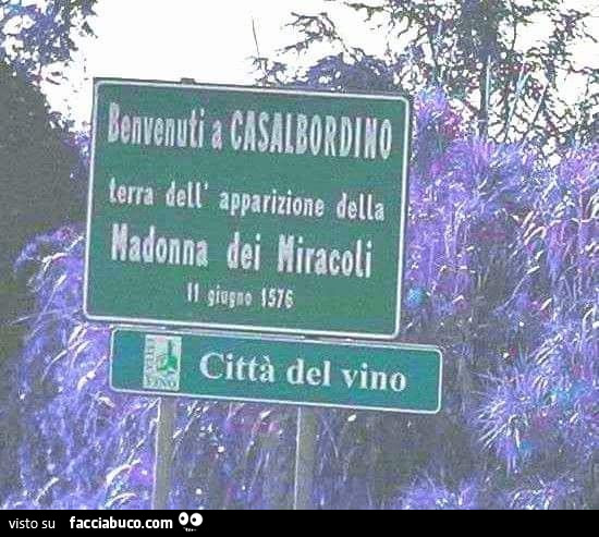Vaccata