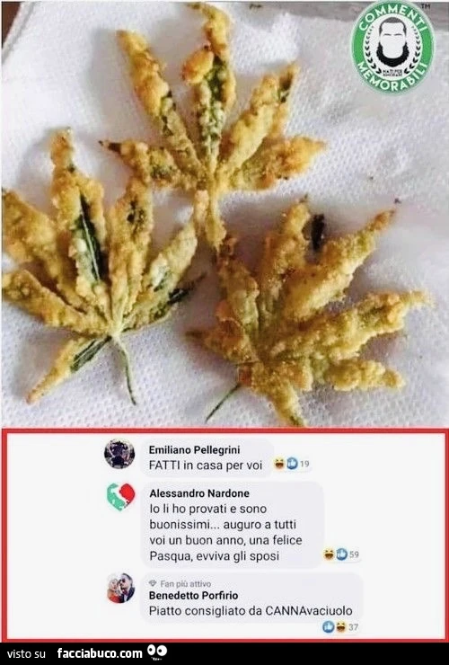 Vaccata